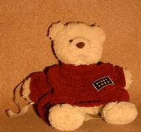 Rucksackb�r