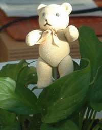 Blumentopfb�r 05