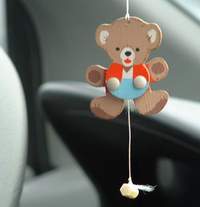 Hampelb�r im Auto