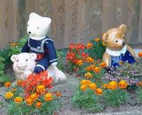Flower Power