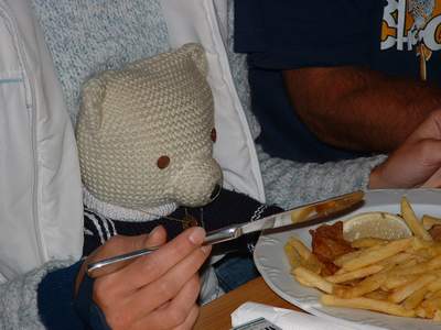 Mac B�r in Bamberg