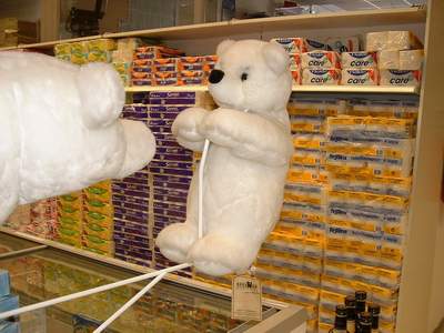 Wachb�ren an der Eistruhe